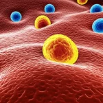 Photorealistic macro lens image showing immune cells interacting with cancer cells, high detail and precise focusing.