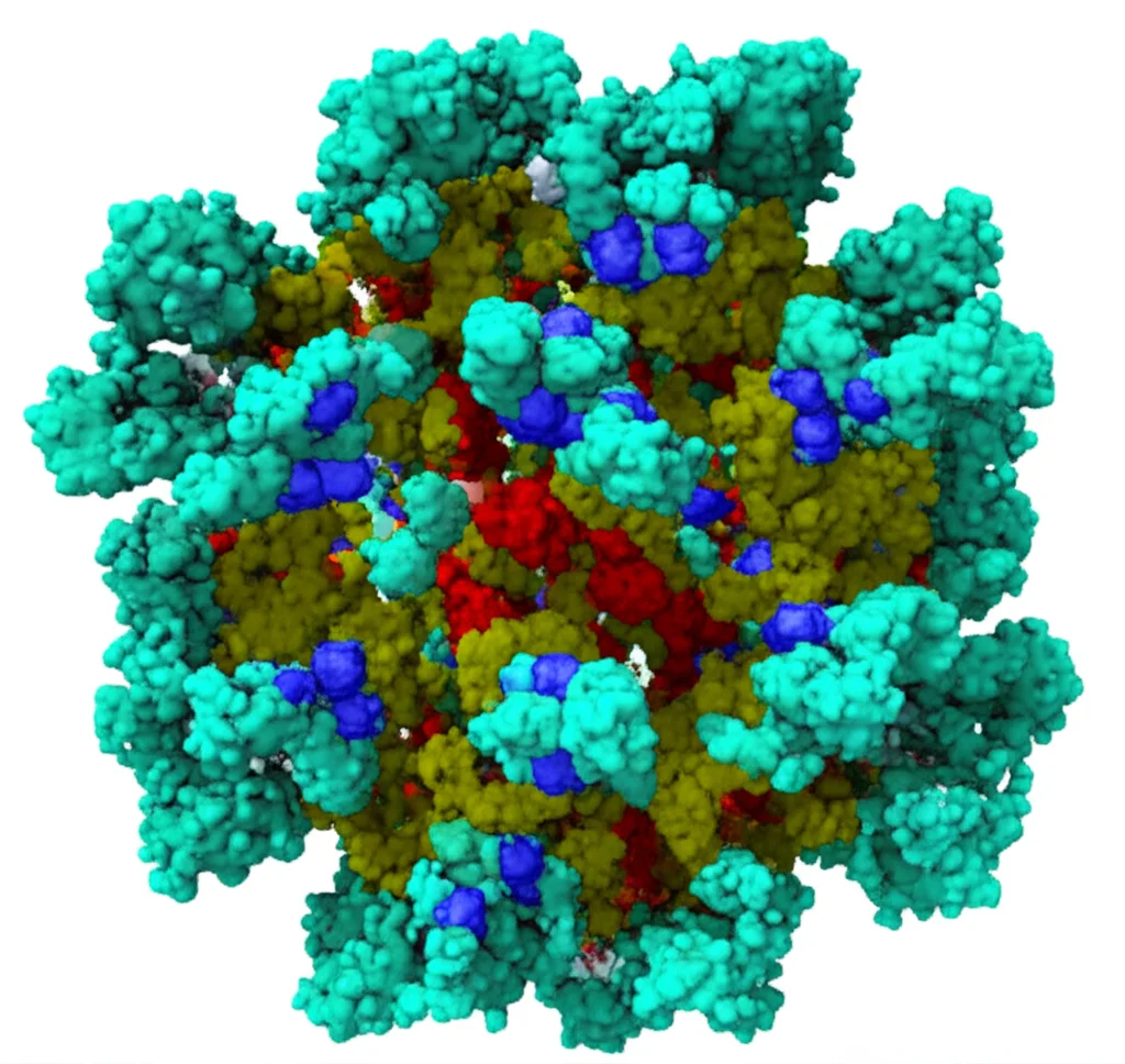 Illustrazione 3D fotorealistica del nanocomposito CuO/Mn3O4/ZnO (sfere grigie per zinco, rosse per ossigeno, blu per rame, viola per manganese) che si lega a una macromolecola proteica del cancro come HER2 o VEGF. L'interazione è evidenziata da legami idrogeno. Sfondo astratto high-tech, obiettivo macro 60mm, illuminazione che enfatizza il sito di legame.