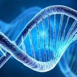 Immagine concettuale della medicina di precisione per il cancro colorettale: una doppia elica del DNA si fonde con grafici dinamici di dati paziente su uno sfondo blu tecnologico. L'immagine è catturata con un obiettivo grandangolare da 24mm, mettendo a fuoco nitidamente l'intersezione tra genetica e dati clinici longitudinali, con una palette di colori vibrante ma dall'aspetto clinico.