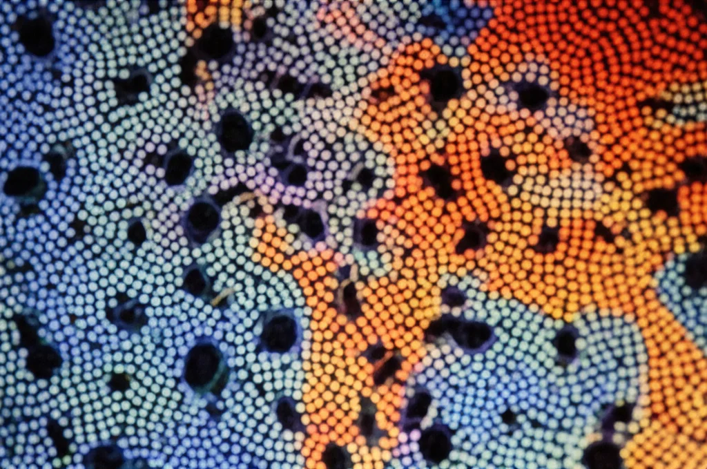 Visualizzazione astratta di profili di citochine, macro lens 80mm, con cluster separati per infezioni dengue asintomatiche (meno intense, colori freddi) e sintomatiche (più intense, colori caldi), illuminazione controllata, alto dettaglio.