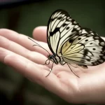 Immagine simbolica e delicata: una farfalla stilizzata, che ricorda la forma della tiroide, si posa con leggerezza su una mano aperta e curata, tesa in un gesto di accoglienza. Lo sfondo è una stanza luminosa ma leggermente sfocata, per dare un senso di ambiente sereno e protetto. Obiettivo macro da 100mm per catturare l'alta definizione dei dettagli della farfalla e della texture della pelle. L'illuminazione è morbida, controllata, quasi eterea, per trasmettere un messaggio di speranza, cura e guarigione dopo la tiroidectomia.