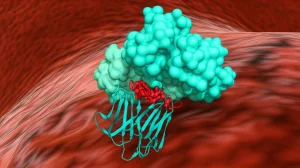 Visualizzazione 3D della molecola di Etil-p-metossicinnamato (EMC) che interagisce con l'enzima Acido Grasso Sintasi (FASN) all'interno di una cellula tumorale stilizzata, evidenziando il blocco metabolico. Illuminazione drammatica, alta definizione, focus preciso sull'interazione molecolare.