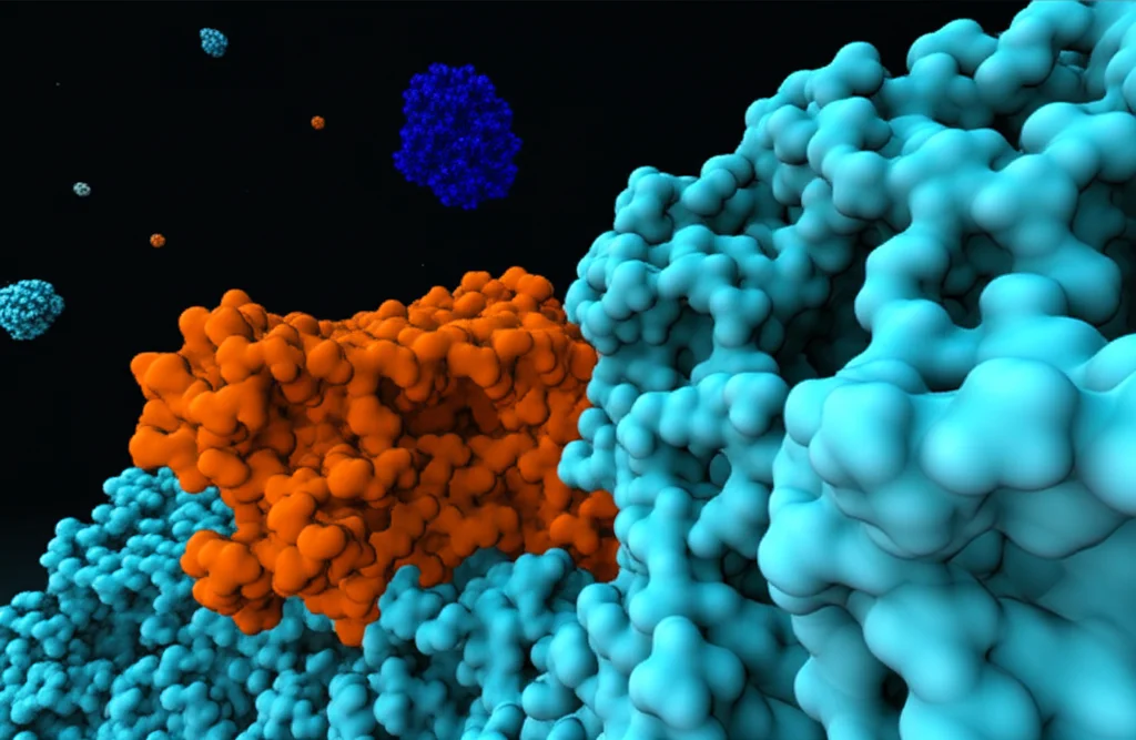 Visualizzazione 3D astratta di molecole proteiche TNF-β e bFGF che interagiscono. Sfondo scuro con illuminazione focalizzata sulle proteine. Dettaglio elevato delle strutture proteiche.