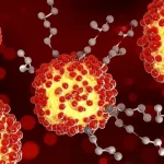 Immagine concettuale al microscopio, stile fotorealistico, obiettivo macro 90mm, alta definizione, illuminazione controllata, che mostra cellule staminali olfattive (rappresentate da sfere luminose) e molecole di acido ellagico (strutture chimiche stilizzate) che interagiscono sinergicamente per riparare la guaina mielinica danneggiata (visibile su una fibra nervosa) nel contesto della sclerosi multipla.