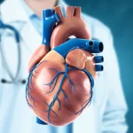 Modello anatomico 3D fotorealistico del cuore umano che mostra chiaramente l'anomalia della doppia arteria discendente anteriore sinistra (LAD), tipo VI. Illuminazione drammatica laterale per evidenziare i vasi sanguigni sulla superficie del cuore, obiettivo macro 100mm per dettagli elevati, sfondo medico astratto e sfocato.