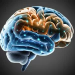Immagine fotorealistica di una rete neurale a grafo (GNN) con nodi luminosi e connessioni intricate, elegantemente sovrapposta a una visualizzazione 3D dettagliata della corteccia cerebrale umana, parcellizzata in regioni colorate. L'illuminazione è drammatica, quasi da film noir, per enfatizzare la complessità e l'interconnessione tra l'intelligenza artificiale e le neuroscienze. Dettagli: obiettivo prime 35mm, profondità di campo accentuata, bianco e nero con accenti di colore ciano per le regioni parcellizzate.