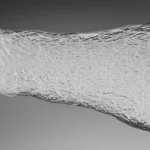 Macro lens, 60mm, high detail shot of a translucent, whitish decellularized human ovarian scaffold, showcasing its porous and fibrous ECM structure, with precise focusing and controlled, soft backlighting to highlight its three-dimensional nature against a clean, neutral background.