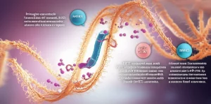 Immagine concettuale fotorealistica del microambiente tumorale del fegato, con cellule di epatocarcinoma (HCC) in attiva proliferazione e alcune che iniziano a migrare. In primo piano, una rappresentazione artistica e ingrandita del lncRNA PVT1 (filamento complesso e luminoso) che interagisce come una spugna con piccole molecole di microRNA (miR-186-5p e miR-143-3p, colorate diversamente), mentre sullo sfondo si intravedono le proteine Smad6 e NRG1 aumentate. Prime lens, 35mm, depth of field accentuata per isolare l'interazione molecolare, illuminazione drammatica con toni caldi e freddi contrastanti per evidenziare la complessità biologica.