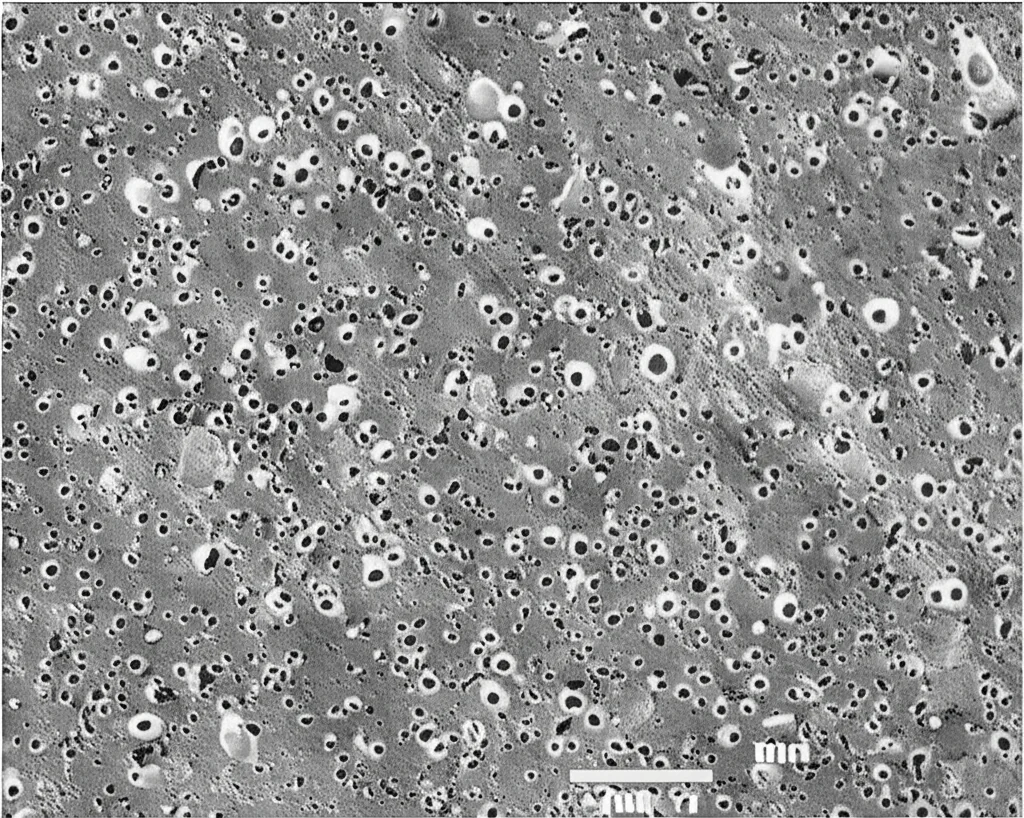 Immagine scientifica, obiettivo macro 60mm, che mostra la microstruttura di un formaggio semi-stagionato. Si vedono le matrici proteiche e i globuli di grasso. Illuminazione da microscopia elettronica (simulata), alto dettaglio, messa a fuoco precisa sulla struttura interna, bianco e nero per enfatizzare la struttura.