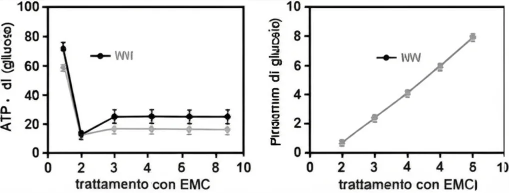 Grafico scientifico che mostra livelli di ATP cellulare in diminuzione dopo trattamento con EMC, accanto a grafici che mostrano aumento del consumo di glucosio e produzione di lattato. Stile pulito, dati chiari, sfondo neutro.