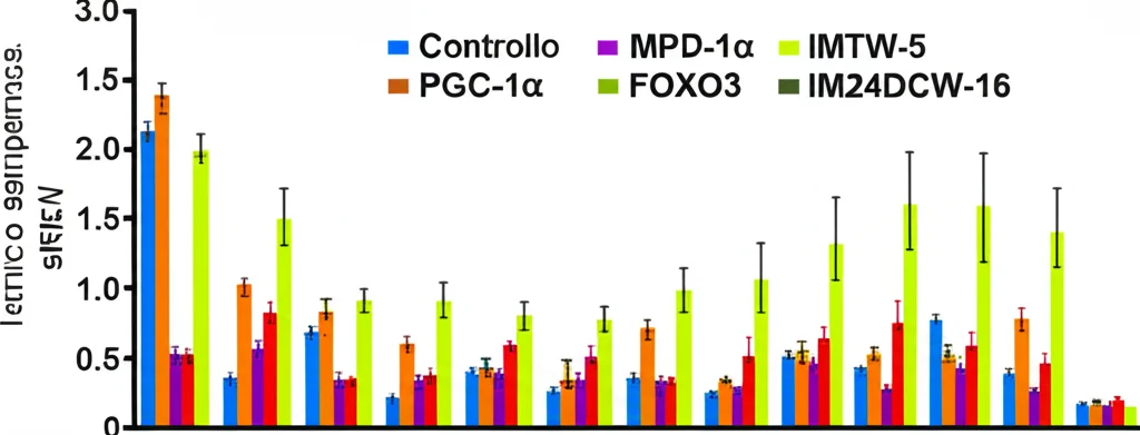 Grafico a barre che mostra i livelli di espressione genica di SIRT3, PGC-1α e FOXO3 in cellule SHSY-5Y. Barre diverse rappresentano il controllo, il trattamento con MPP+ e il trattamento con MPP+ più i composti IMFW-1, IMTW-5 e IM24DCW-16. Le barre per IM24DCW-16 mostrano i livelli più alti. Stile grafico scientifico, chiaro e leggibile, colori distinti.