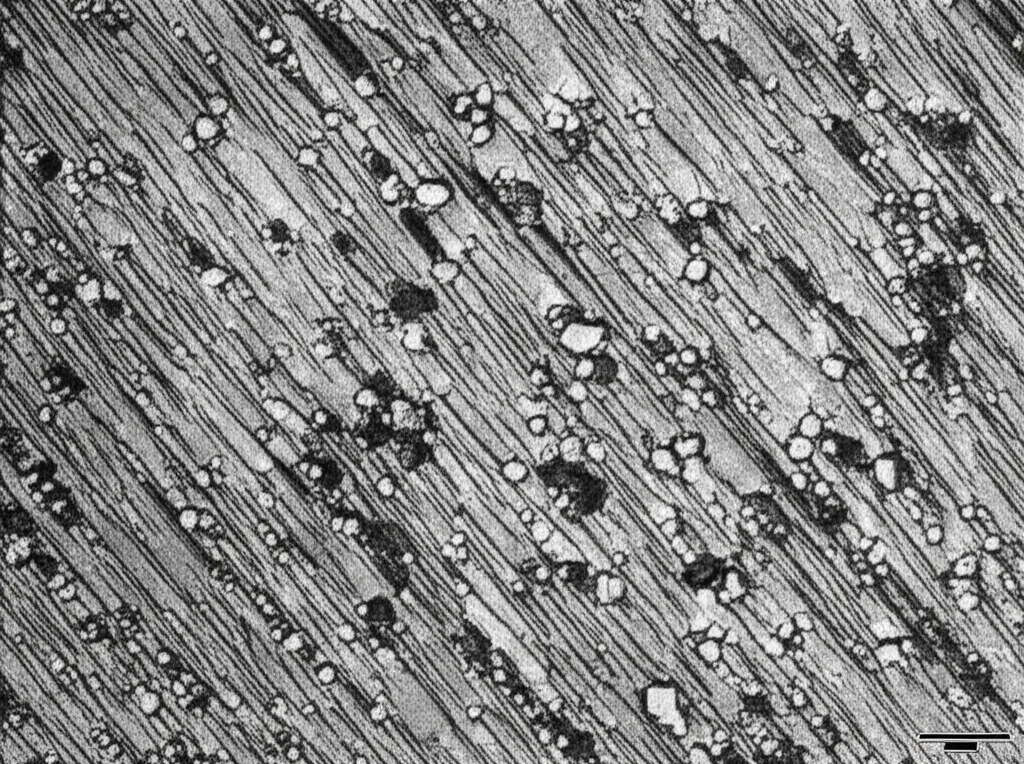 Macro fotografia, obiettivo da 105 mm, primo piano estremo di una superficie composita di metallo Ni-Ticn lucida e incisa che rivela una struttura a grano intricata con grani sotto i grani e particelle disperse, dettagli elevati, focalizzazione precisa, illuminazione controllata.