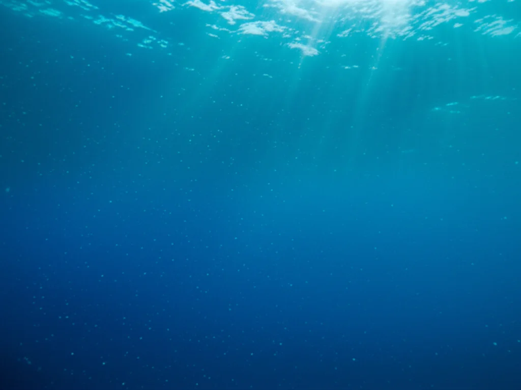 Fotografia subacquea in un oceano polare limpido, obiettivo grandangolare 20mm, che mostra i raggi del sole che penetrano nell'acqua blu profondo, creando effetti di luce suggestivi. Si intravedono piccole particelle sospese. Messa a fuoco nitida sull'acqua illuminata, lunga esposizione per catturare la fluidità.