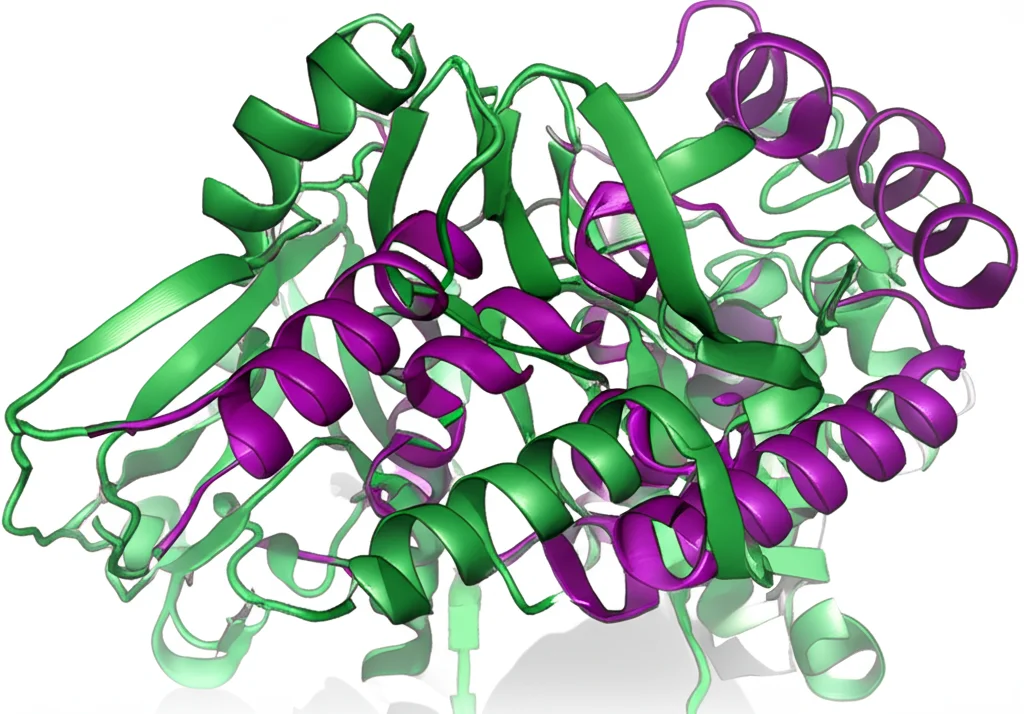 Detailed scientific illustration of protein structures with alpha-helices (purple), beta-sheets (green), and coils (gray), macro lens, 100mm, high detail, precise focusing, controlled lighting