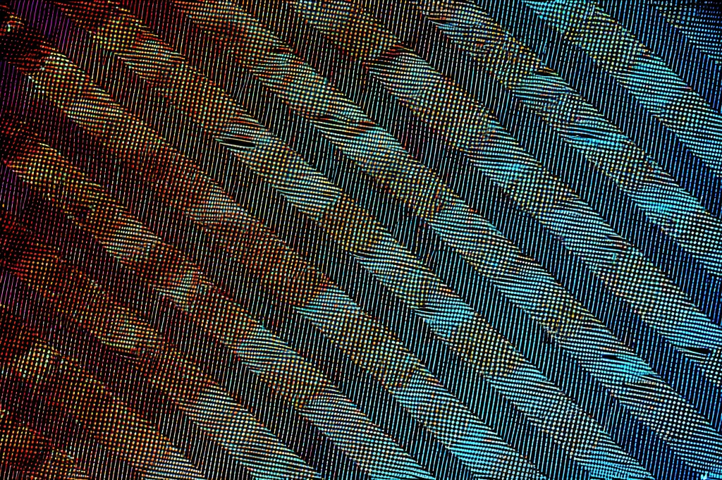 Fotografia macro ravvicinata di una superficie di cella solare perovskite, lente macro da 100 mm, che mostra una struttura a grana cristallina intricata sotto illuminazione controllata, dettagli elevati.