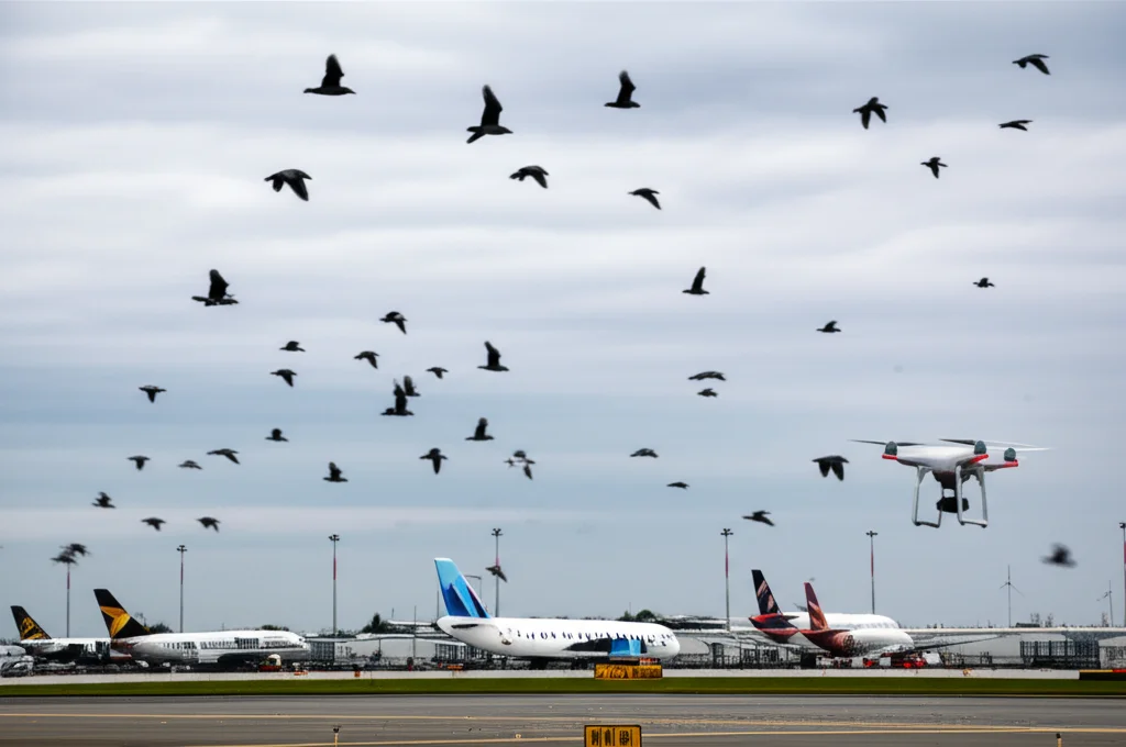 Fotografia realistica di uno spazio aereo vicino a un aeroporto, cielo leggermente nuvoloso, si intravede un aereo in lontananza e più vicini un drone quadricottero e uno stormo di uccelli in volo, creando confusione visiva. Obiettivo teleobiettivo zoom 200mm, fast shutter speed per catturare il movimento, action tracking.