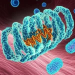 Visualizzazione 3D fotorealistica e artistica di ribosomi attivi all'interno di una cellula di adenocarcinoma polmonare, interagenti con il DNA e circondati da cellule T stilizzate, obiettivo macro 85mm, alta definizione, illuminazione drammatica controllata, simboleggiando la connessione tra biogenesi ribosomiale, cancro e risposta immunitaria.