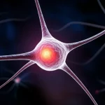 Visualizzazione astratta e fotorealistica di neuroni danneggiati intrecciati con batteri intestinali colorati, obiettivo macro 80mm, alta definizione, illuminazione drammatica soffusa, simboleggiando la complessa interazione tra neuropatia autonomica nell'A-ATTRv e la SIBO.