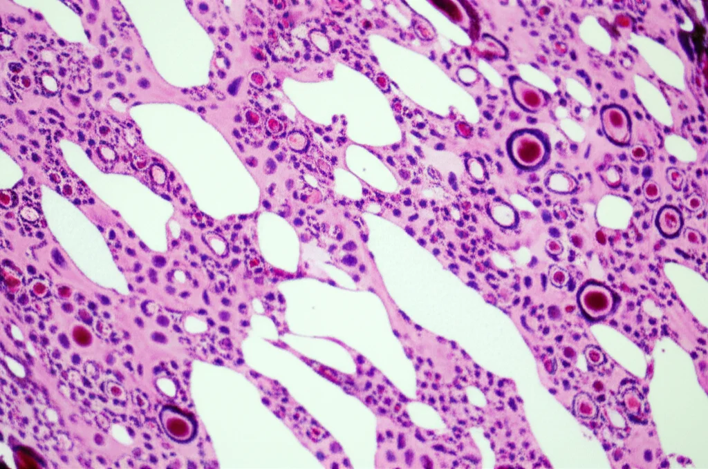 Immagine macro fotorealistica di vetrini da microscopio per patologia digitale illuminati da sotto, obiettivo macro 90mm, alta definizione, messa a fuoco precisa su strutture cellulari colorate con diverse tonalità HeE (ematossilina ed eosina).