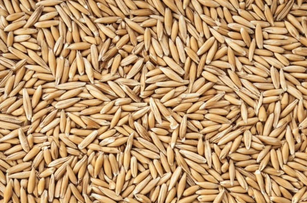 Close-up, lenti macro, 70 mm, concentrandosi su pellet di avena rispetto al fieno di avena sciolto, fianco a fianco su una superficie pulita, evidenziando la differenza di forma e consistenza, illuminazione controllata.