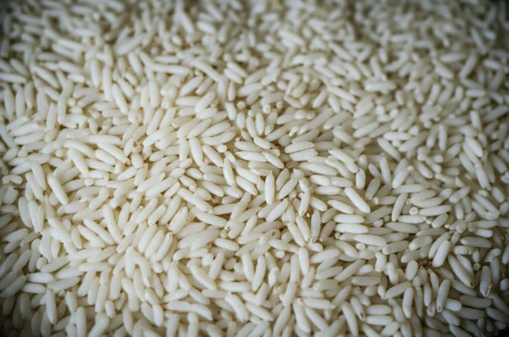 Photorealistic close-up (macro lens, 100mm) of dry rice grains packed tightly in a container, illustrating varying density. High detail, precise focusing, controlled lighting.