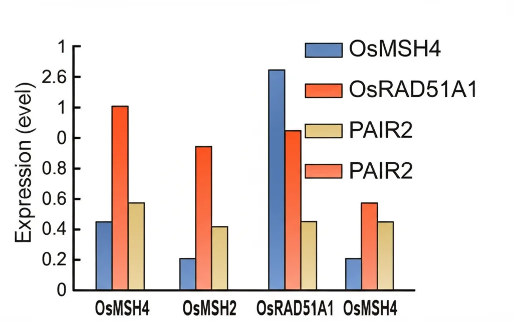 Macro lens, 60mm, high detail, precise focusing image of a bar chart showing the expression levels of candidate genes (like OsMSH4, OsRAD51A1, PAIR2) in two different rice lines, clearly highlighting the significant differences.