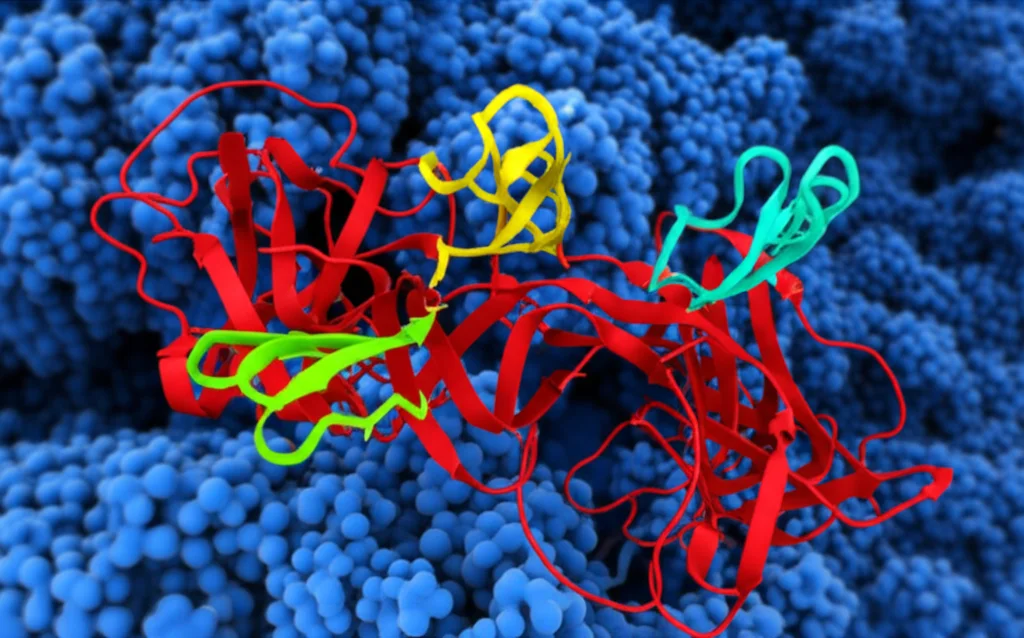 Photorealistic image of molecular structures representing a protein (Las17) with proline-rich regions, interacting with smaller protein domains (SH3 domains) and globular actin monomers. Use high detail, precise focusing, controlled lighting, macro lens, 100mm.