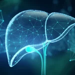 A futuristic, abstract representation of interconnected data points and biological pathways converging on a stylized liver, symbolizing bioinformatics and machine learning identifying MASH biomarkers. Macro lens, 80mm, high detail, controlled lighting with subtle blue and green duotones.