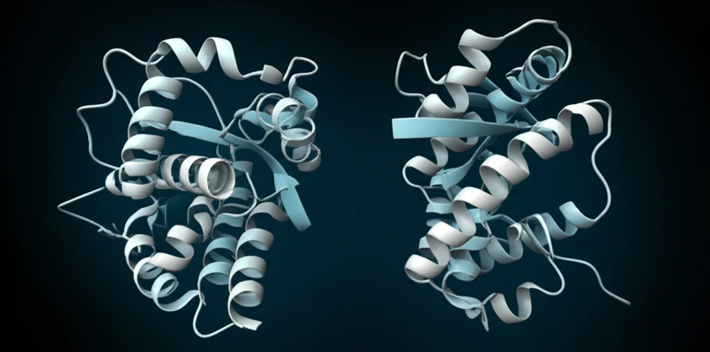 A stylized representation of protein structures, macro lens 100mm, with one wild-type protein appearing stable and another mutant version showing subtle structural changes or instability, high detail, precise focusing, perhaps with blue and grey duotones against a dark background to emphasize the molecular level.